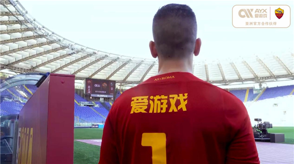 为其他项目