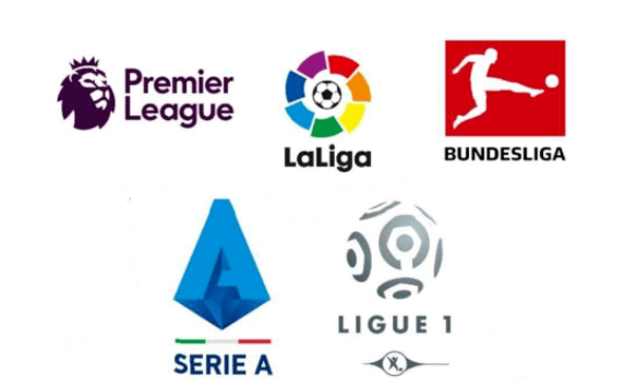 的受伤却为 的受伤却为